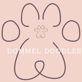 DommelDoodles